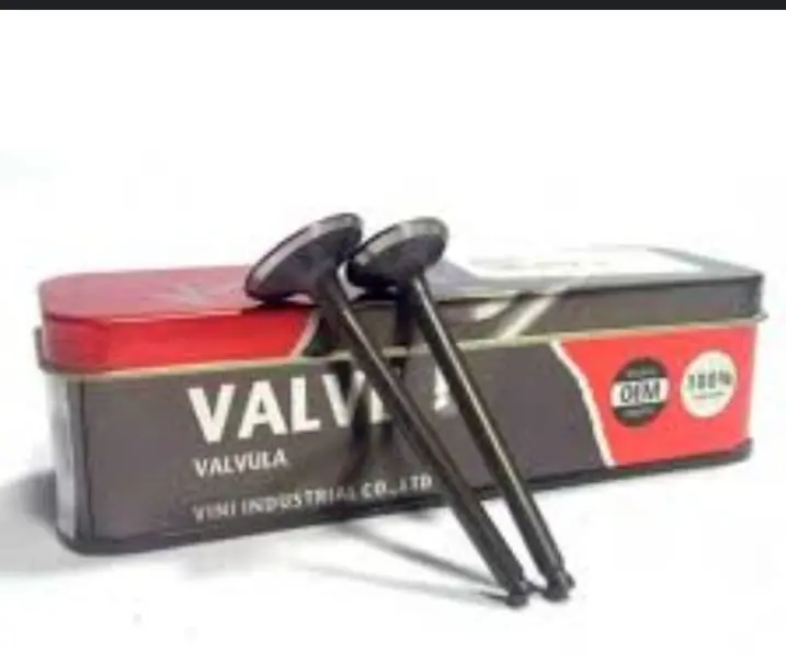 VALVULAS YBR125 VITRIX PAR